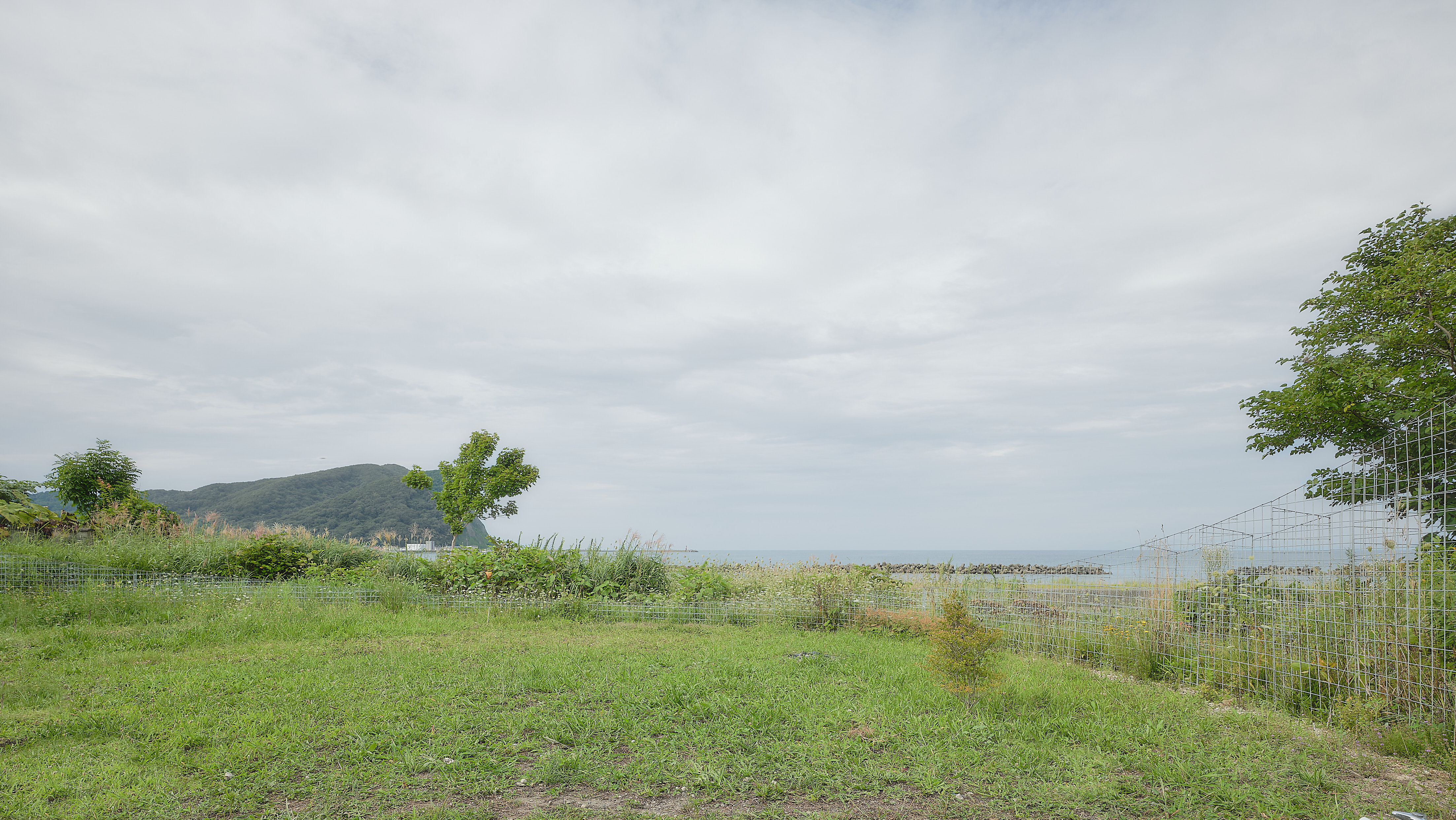 『夏の家』久野浩志建築設計事務所