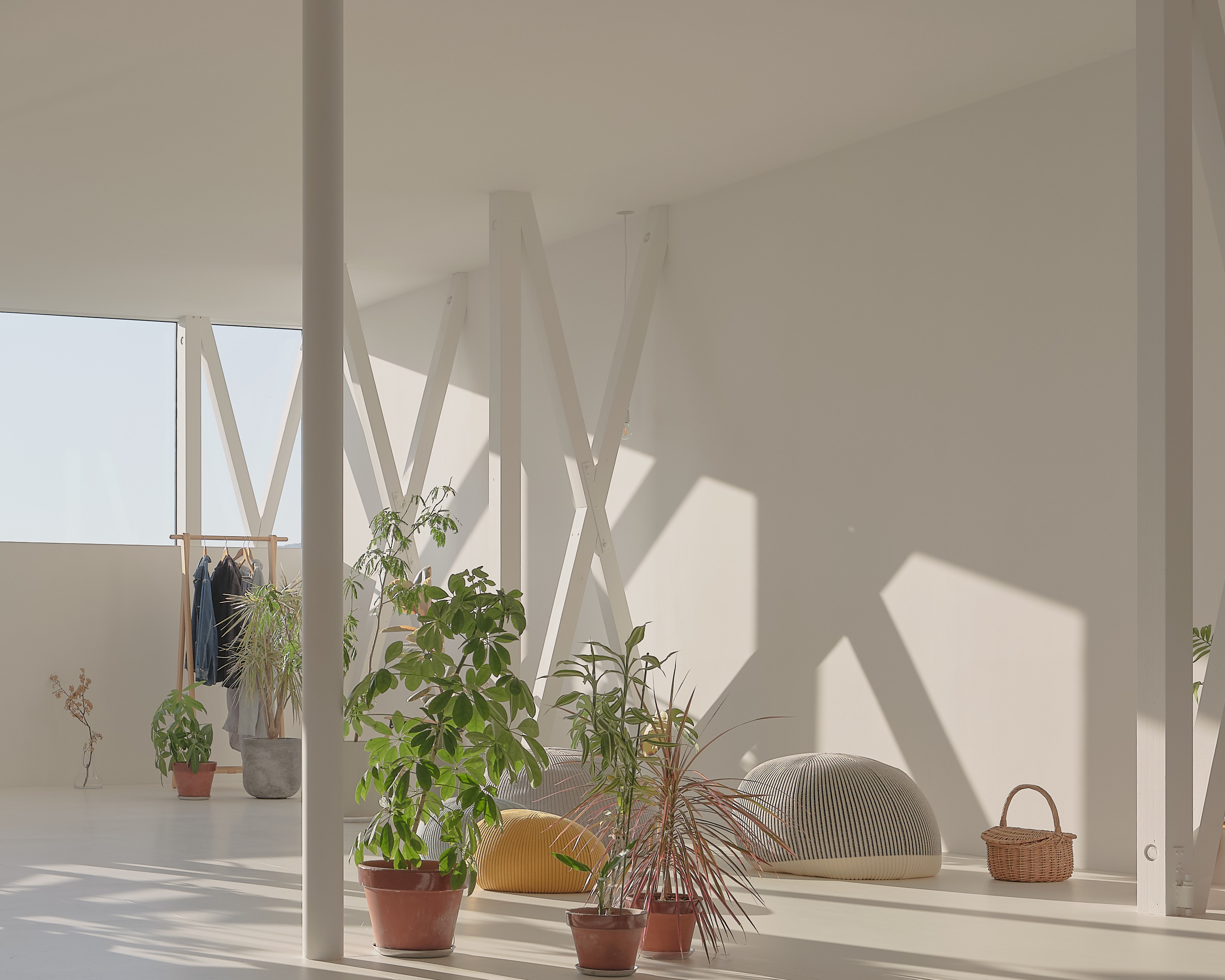 『西野の住居』堀部太建築設計事務所