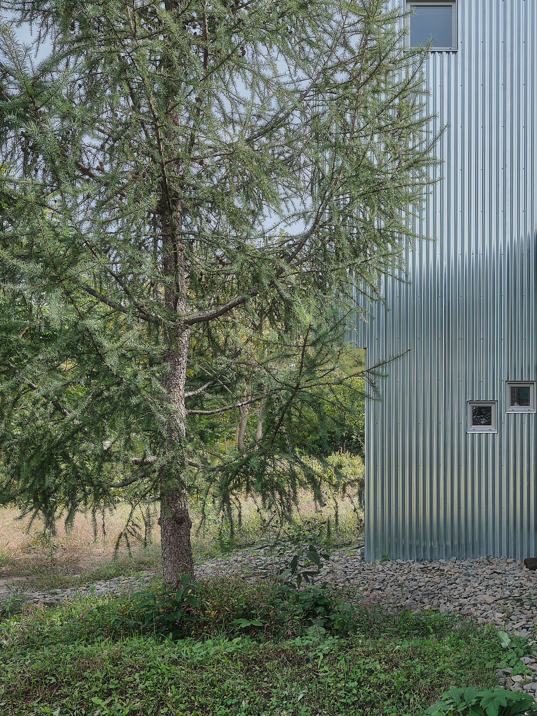 『HARANOJOにあるイヱ』HORIO+ARCHICODE