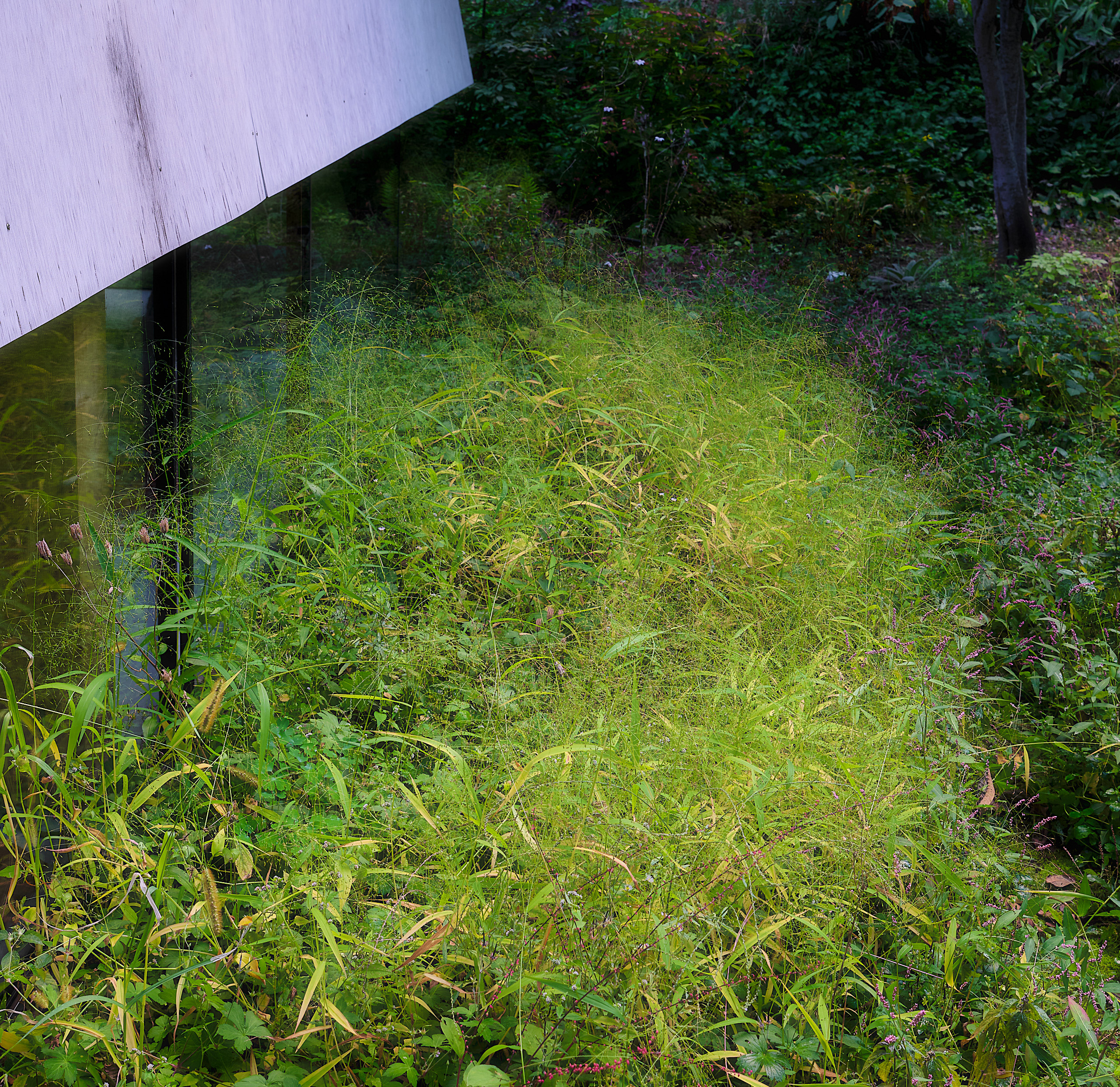 『Showcase』久野浩志建築設計事務所